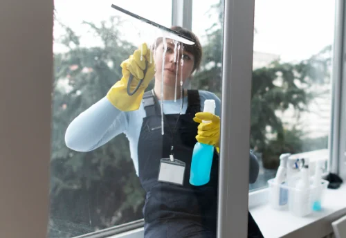 Nettoyage de vitres intérieures et extérieures à Bernin